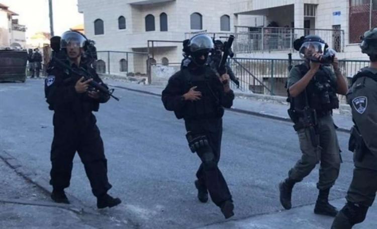 الاحتلال يعتقل شابًا ويعتدي على مواطنين في العيسوية