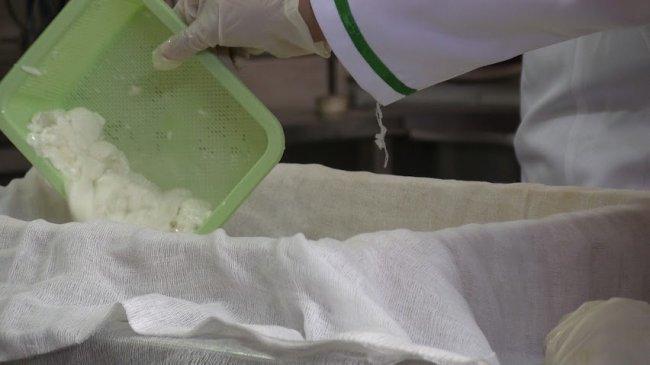 خاص لـ"وطن": بالفيديو.. غزة: فريق يصنع جبنة مخصصة لعلاج هشاشة العظام