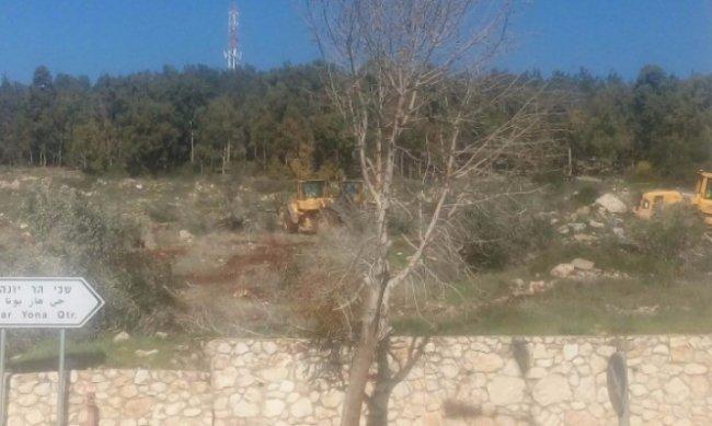 تجريف أراض واقتلاع أشجار زيتون في الناصرة