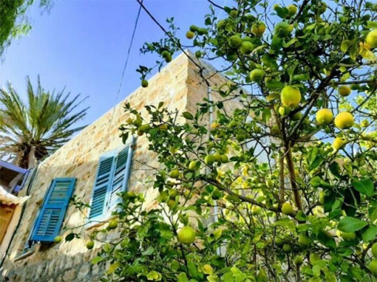 رحلة مع البرتقال والحمضيات في فلسطين من معليا إلى يافا وأخيرًا غزة