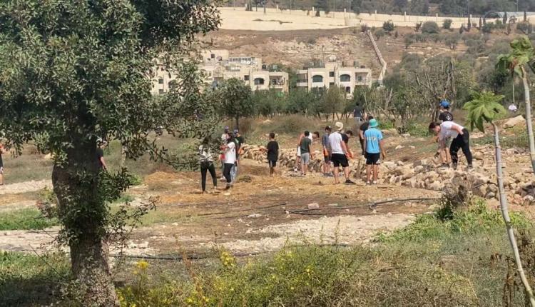 طلاب يهود يقتحمون أرض الأوقاف في حي الصوانة في القدس