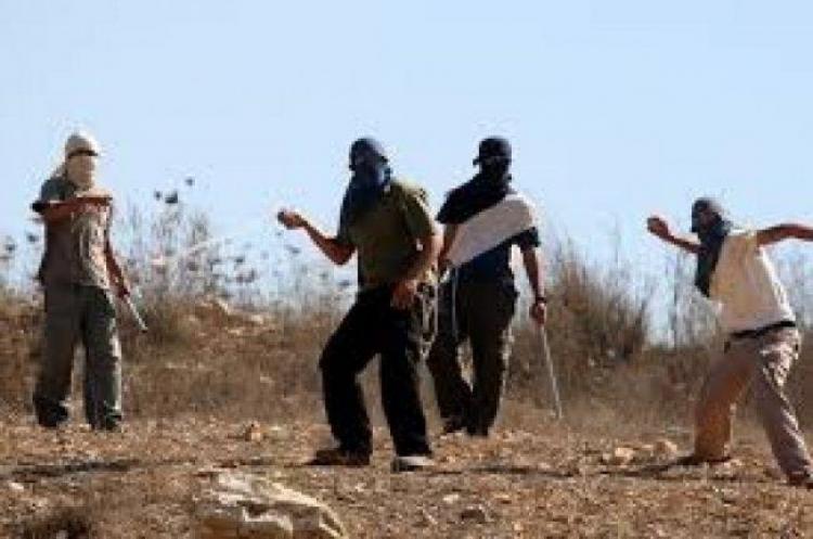 مستوطنون يعتدون بالضرب المبرح على أربعة مزارعين جنوب بيت لحم مستوطنون يعتدون بالضرب المبرح على أربعة مزارعين جنوب بيت لحم