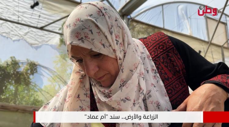 الزراعة والأرض.. سند "أم عماد" الزراعة والأرض.. سند "أم عماد"