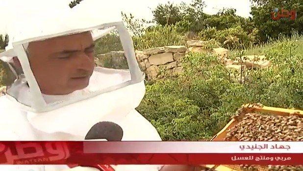 بالفيديو... جهاد الجنيدي.. من الهواية إلى تربية النحل وتصدير العسل