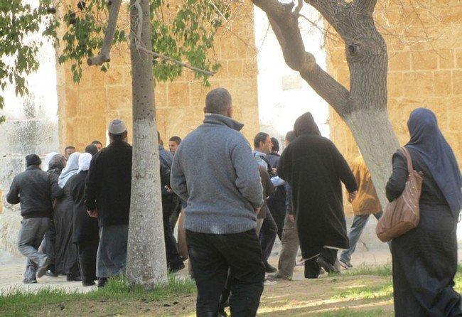 أثناء اقتحام الأقصى.. شرطي إسرائيلي يخلع حجاب طالبة أثناء اقتحام الأقصى.. شرطي إسرائيلي يخلع حجاب طالبة