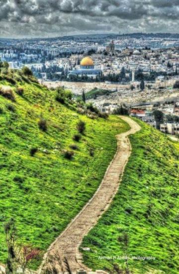 خالد فحل يكتب لوطن: حين يجهل الفلسطيني الطريق إلى القدس