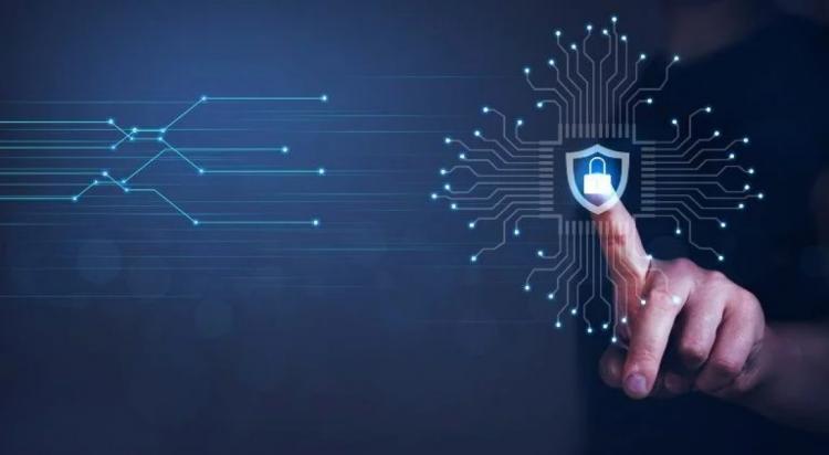 الخصوصية الرقمية لدى طلاب الجامعات الفلسطينية الخصوصية الرقمية لدى طلاب الجامعات الفلسطينية