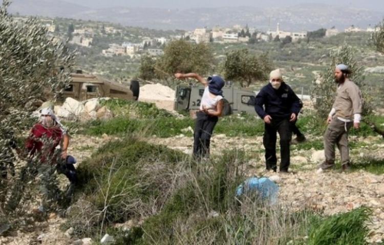 رام الله: مستوطنون يعتدون على مزارعين في بيت عور التحتا بحماية قوات الاحتلال رام الله: مستوطنون يعتدون على مزارعين في بيت عور التحتا بحماية قوات الاحتلال