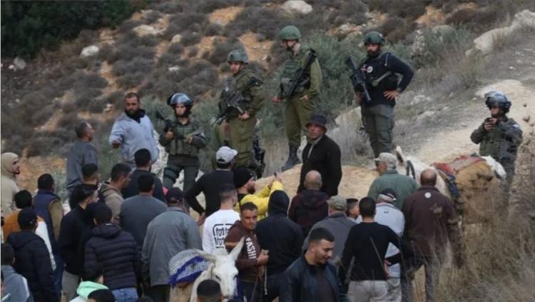 13 اعتداءً للاحتلال والمستوطنين استهدفت قاطفي الزيتون في 4 محافظات 13 اعتداءً للاحتلال والمستوطنين استهدفت قاطفي الزيتون في 4 محافظات