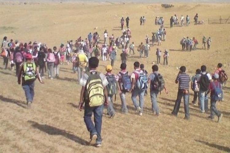 في الفُرعة: صراع من أجل العلم والبقاء! في الفُرعة: صراع من أجل العلم والبقاء!