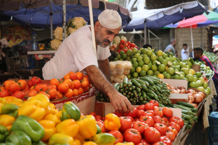 كيلو البندورة يُباع بـ12 شيكلاً.. أسعار الخضار في أسواق الضفة الغربية في "العلالي"، ما الأسباب؟ وإلى متى؟ كيلو البندورة يُباع بـ12 شيكلاً.. أسعار الخضار في أسواق الضفة الغربية في "العلالي"، ما الأسباب؟ وإلى متى؟