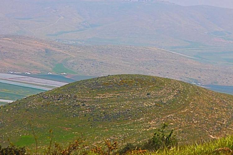 "التعليم البيئي" يُصدر نشرة لليوم العالمي للتنوع الحيوي ويُطلق مبادرة "محمياتنا"
