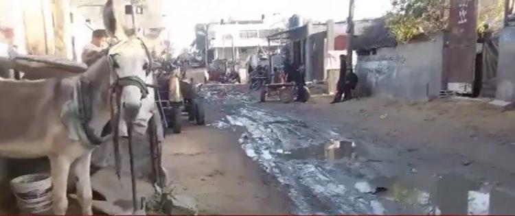 خاص لـ "وطن": بالفيديو... غزة: "الملالحة" يعيشون في "مستنقع" أوبئة خاص لـ "وطن": بالفيديو... غزة: "الملالحة" يعيشون في "مستنقع" أوبئة