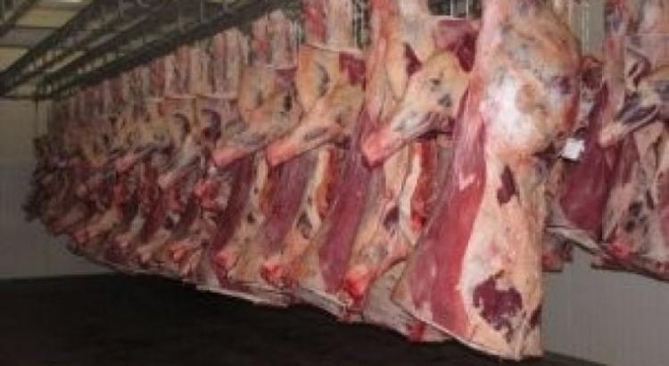 الاقتصاد: فتح باب تقديم طلبات استيراد اللحوم المجمدة