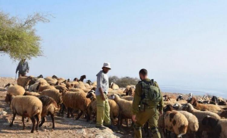 مستوطنون يهاجمون الرعاة في مسافر يطا جنوب الخليل مستوطنون يهاجمون الرعاة في مسافر يطا جنوب الخليل