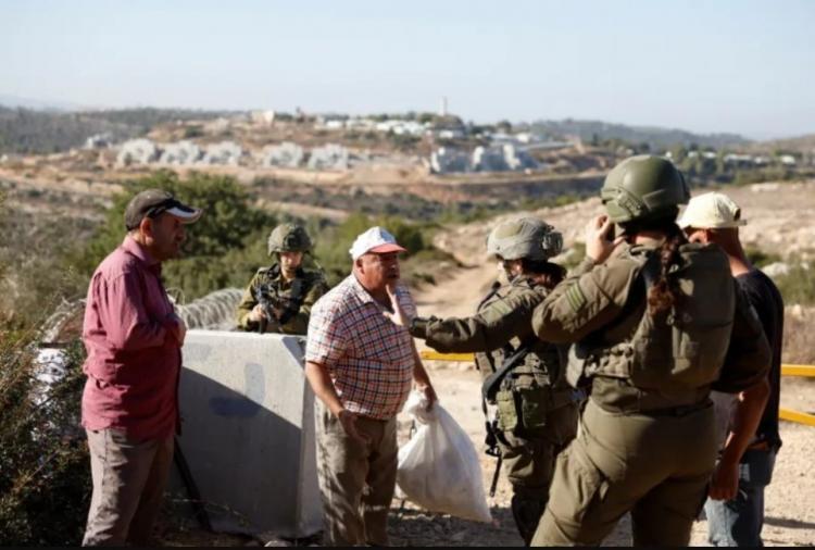 الزيتون الفلسطيني في مرمى المنع.. موسم الحصاد يتحول إلى معركة على الأرض الزيتون الفلسطيني في مرمى المنع.. موسم الحصاد يتحول إلى معركة على الأرض