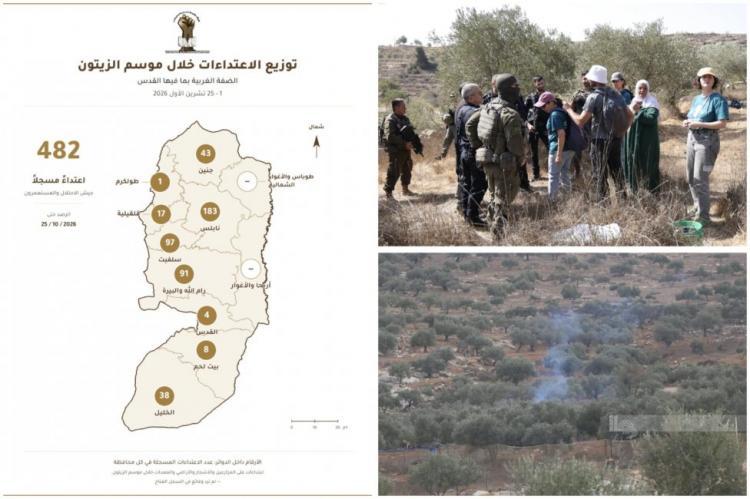 "مقاومة الجدار والاستيطان": من شمال الضفة إلى جنوبها.. 482 اعتداءً على قاطفي الزيتون وأراضيهم "مقاومة الجدار والاستيطان": من شمال الضفة إلى جنوبها.. 482 اعتداءً على قاطفي الزيتون وأراضيهم