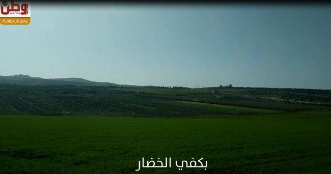 "محبو الطبيعة" .. إمشِ.. نظف.. استمتع بجمال فلسطين!