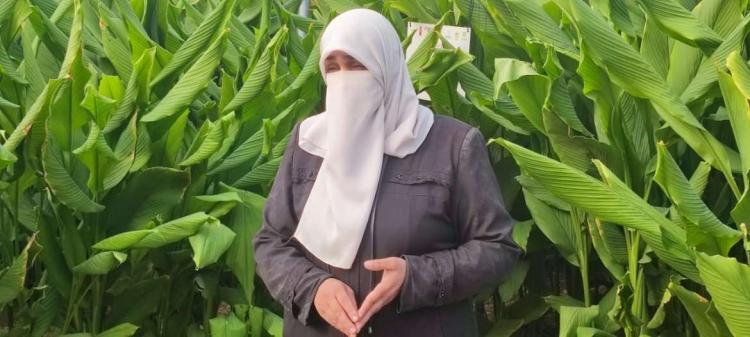 فاطمة وهيلين أول من زرع الكركم في فلسطين فاطمة وهيلين أول من زرع الكركم في فلسطين