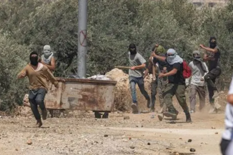 الجدار والاستيطان توثق 22 اعتداء للاحتلال والمستوطنين على قاطفي الزيتون الجدار والاستيطان توثق 22 اعتداء للاحتلال والمستوطنين على قاطفي الزيتون
