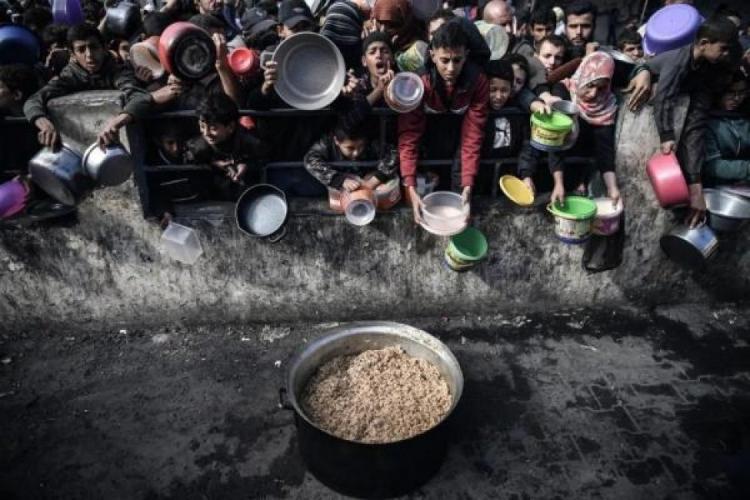 اتهام أممي للاحتلال بشن حملة تجويع ضد سكان غزة.. "سلاح التجويع مستخدم منذ 1948" اتهام أممي للاحتلال بشن حملة تجويع ضد سكان غزة.. "سلاح التجويع مستخدم منذ 1948"