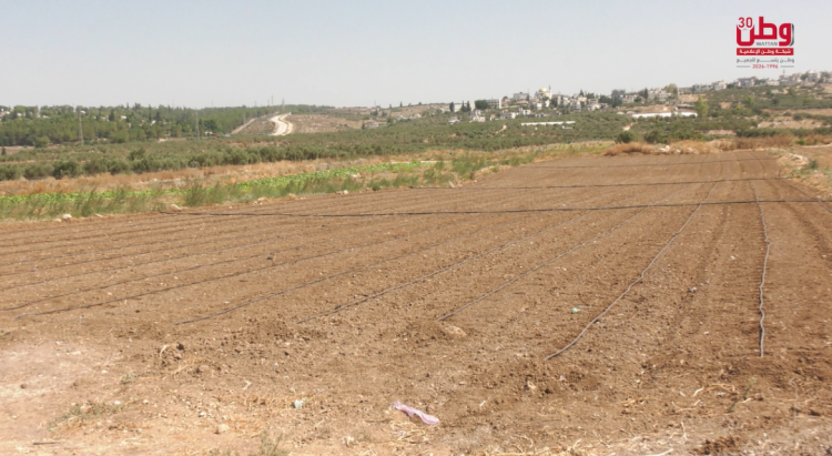 شحّ المياه يخنق الزراعة في بيت لقيا.. شحّ المياه يخنق الزراعة في بيت لقيا..