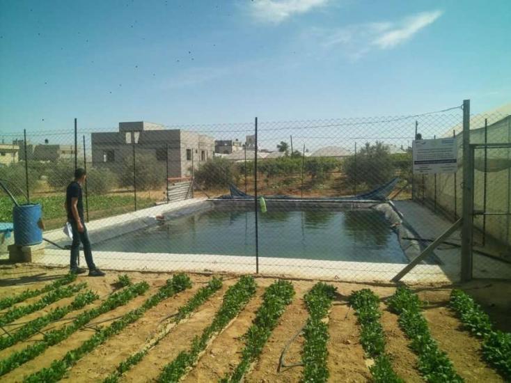 الاغاثة الزراعية تنفذ برك تجميع لمياه الامطار في خانيونس ورفح