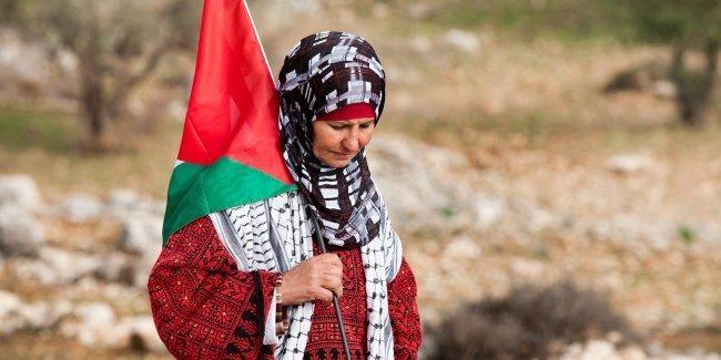 ماذا حدث عندما تولّت فلسطينيات زمام أمور قريتهن؟ ماذا حدث عندما تولّت فلسطينيات زمام أمور قريتهن؟