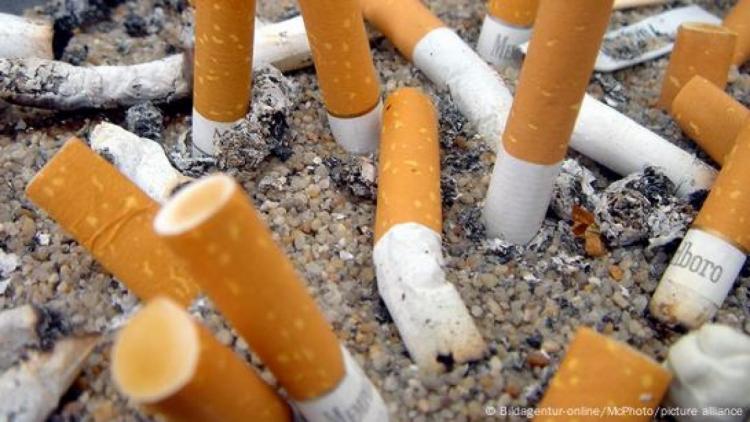 النيكوتين.. مرة أخرى النيكوتين.. مرة أخرى