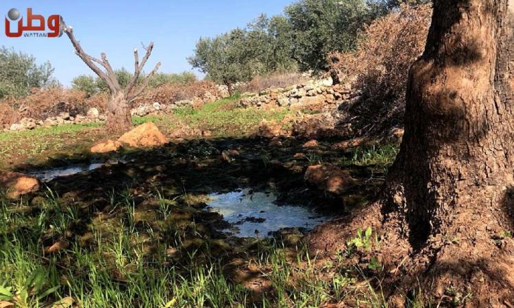 "مجاري" المستوطنات تلحق الضرر بأهالي دير بلوط.. والمواطنون يناشدون عبر وطن "مجاري" المستوطنات تلحق الضرر بأهالي دير بلوط.. والمواطنون يناشدون عبر وطن
