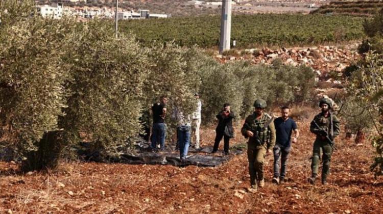 الاحتلال يعتقل مواطنين بعد اعتداء مستوطنين على قاطفي زيتون في مسافر يطا الاحتلال يعتقل مواطنين بعد اعتداء مستوطنين على قاطفي زيتون في مسافر يطا