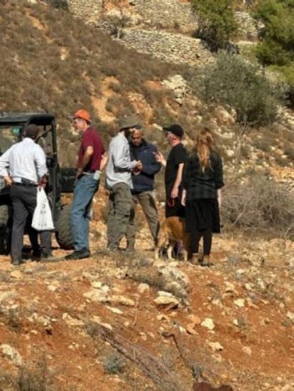 مستوطنون يهاجمون قاطفي الزيتون في سنجل ويطلقون مواشيهم في كفر مالك