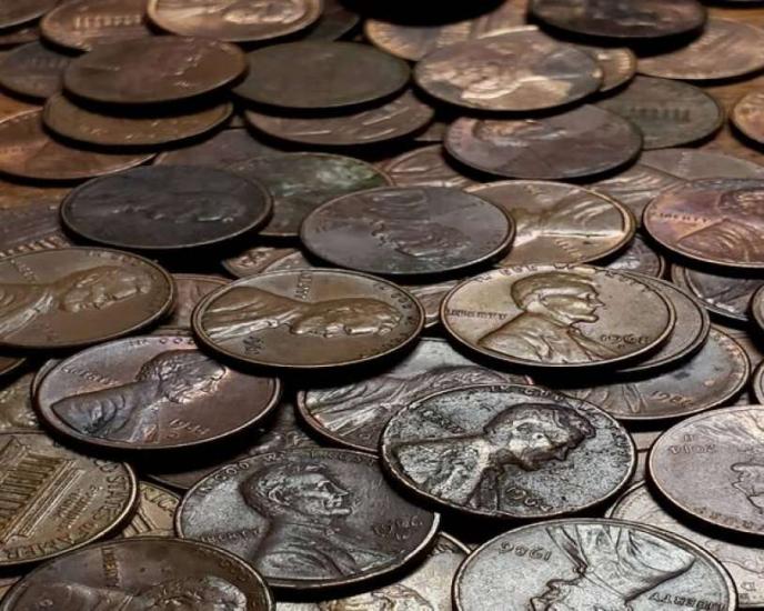 عائلة تستغني عن "كنز" بـ1.7 مليون دولار عائلة تستغني عن "كنز" بـ1.7 مليون دولار