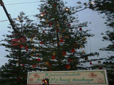 بلدية رام الله تنهي الإستعدادات لانارة شجرة الميلاد