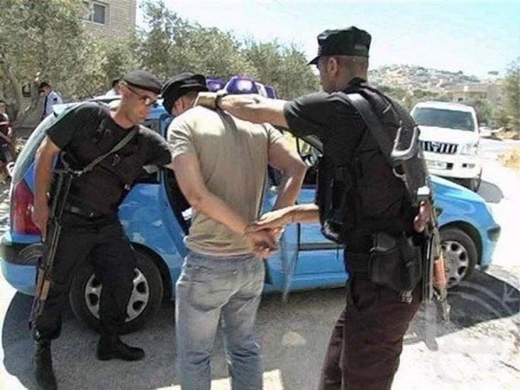 الخليل : الشرطة تلقي القبض على متهمين بالتنقيب عن الاثار