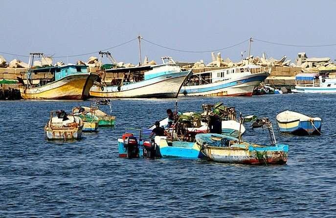مساعدات قطرية لصيادي قطاع غزة