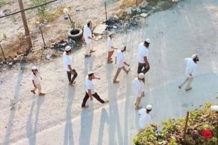 مستوطنون يقتحمون قرية عين سينيا وحي الطيرة في رام الله مستوطنون يقتحمون قرية عين سينيا وحي الطيرة في رام الله