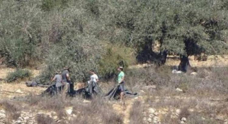 مستوطنون يستولون على مركبة ويسرقون ثمار زيتون ومعدات زراعية في عين يبرود مستوطنون يستولون على مركبة ويسرقون ثمار زيتون ومعدات زراعية في عين يبرود