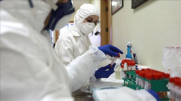 "الصحة": تسجيل 5 حالات وفاة و 557 إصابة جديدة بفيروس كورونا