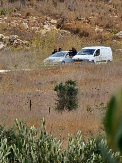 مستوطنون يسرقون ثمار الزيتون في عقربا واللبن الشرقية ويعتدون على مركبة في قبلان مستوطنون يسرقون ثمار الزيتون في عقربا واللبن الشرقية ويعتدون على مركبة في قبلان