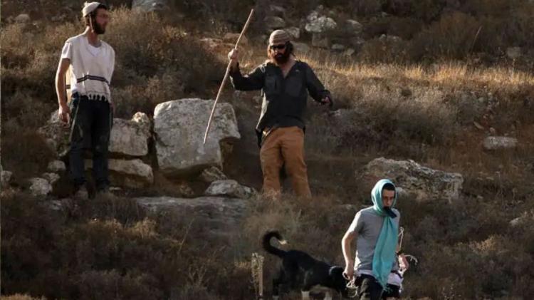 مستوطنون يهاجمون منازل المغير ويستولون على مركبة مستوطنون يهاجمون منازل المغير ويستولون على مركبة