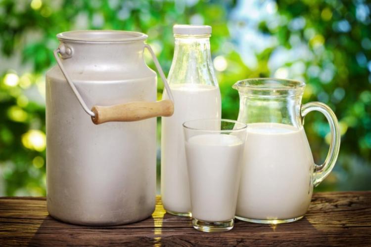 ألبان المزرعة ... مشروع شبابي ريادي نجح في وضع بصمة على الخارطة وسط التحديات ألبان المزرعة ... مشروع شبابي ريادي نجح في وضع بصمة على الخارطة وسط التحديات