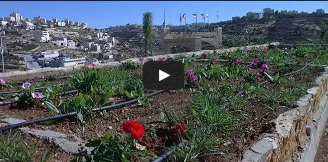 خاص لـ "وطن": بالفيديو... الخليل: في تفوح مقبرة موتى على شكل حديقة