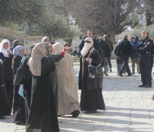 الاحتلال يعتقل معلمة مصاطب العلم في المسجد الأقصى الاحتلال يعتقل معلمة مصاطب العلم في المسجد الأقصى