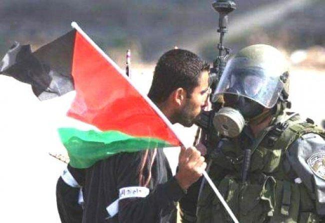 "إبراهيم برناط " ينشر وصيته عبر وطن ويقول للفصائل: تصالحوا قبل أن أموت "إبراهيم برناط " ينشر وصيته عبر وطن ويقول للفصائل: تصالحوا قبل أن أموت