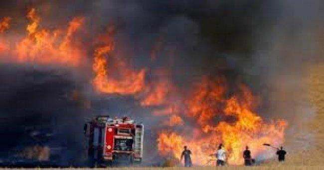 8 حرائق في مستوطنات غلاف غزة بفعل بالونات حارقة