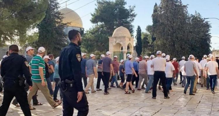 9123 مستوطناً يقتحمون المسجد الأقصى خلال ما يسمى "عيد العرش" 9123 مستوطناً يقتحمون المسجد الأقصى خلال ما يسمى "عيد العرش"