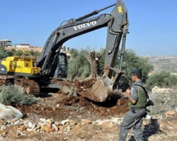 الاحتلال يجرف مطبات إسفلتية على الطريق الرابط بين جنين ونابلس الاحتلال يجرف مطبات إسفلتية على الطريق الرابط بين جنين ونابلس