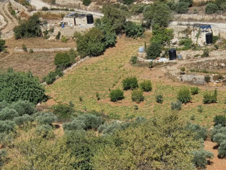 على أبواب شتاء ساخن على أبواب شتاء ساخن