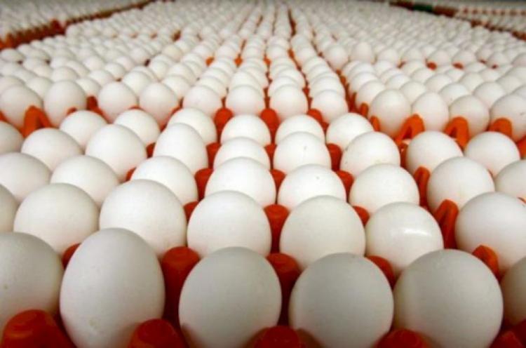 اعتقال شخص حاول تهريب 6 آلاف طبق بيض إلى مستوطنة "معالي ادوميم"